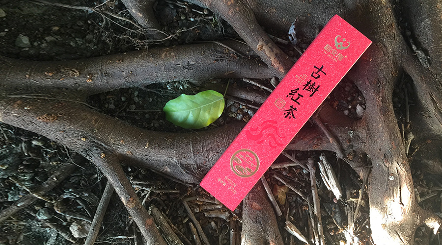 福安隆这款火爆加推的“红茶龙珠”，究竟喝出什么名堂？配图5