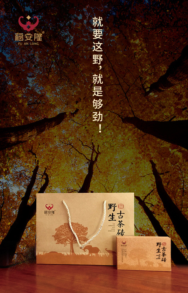 福安隆大雪山，野生茶，Oh, yeah！配图7