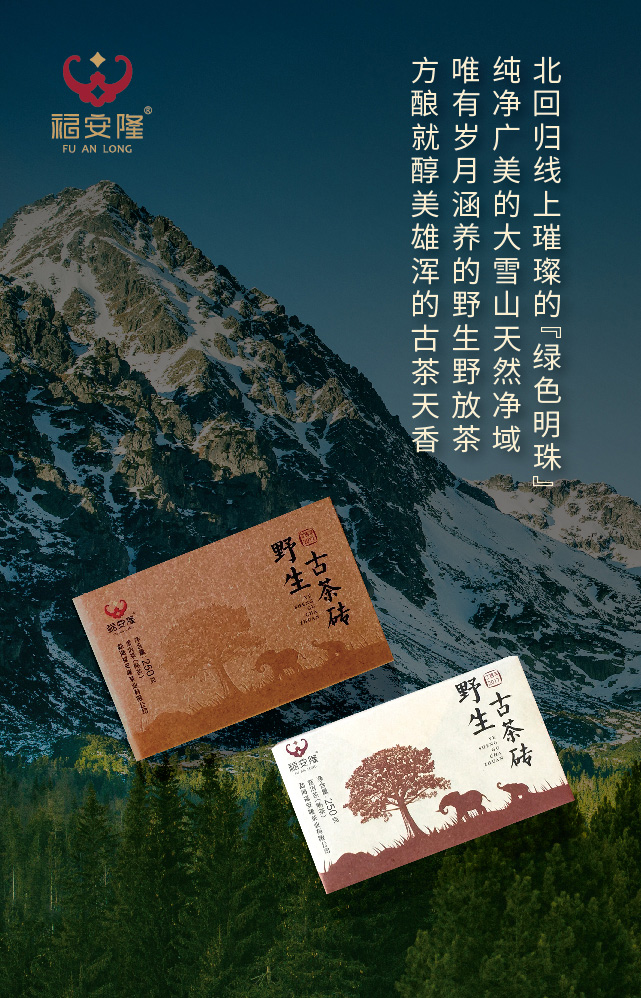 福安隆大雪山，野生茶，Oh, yeah！配图3