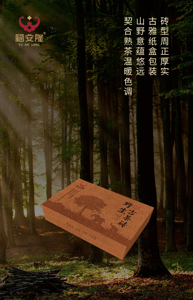 福安隆大雪山，野生茶，Oh, yeah！配图5