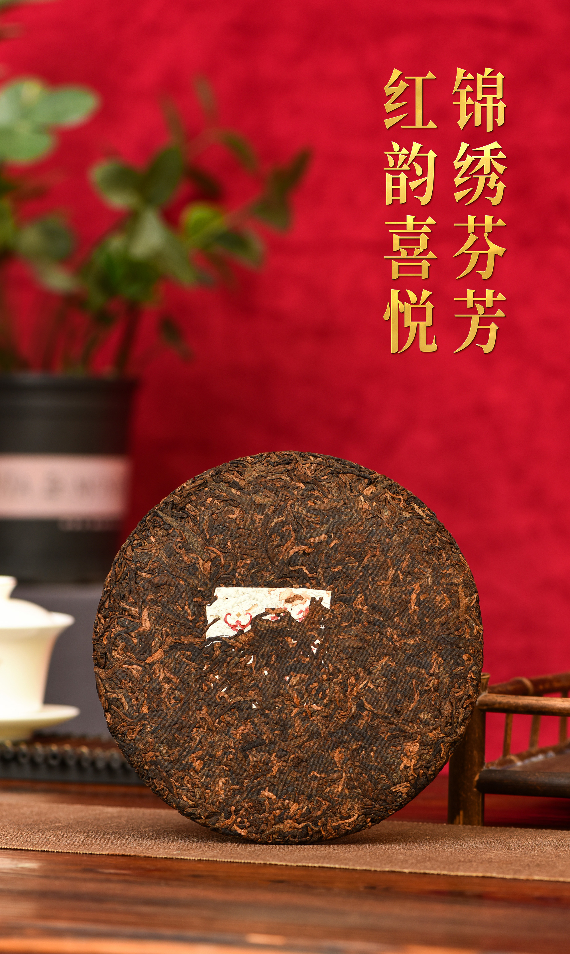 福安隆【孔雀生态熟饼】上市｜孔雀翩然举，熟茶启盛筵！配图
